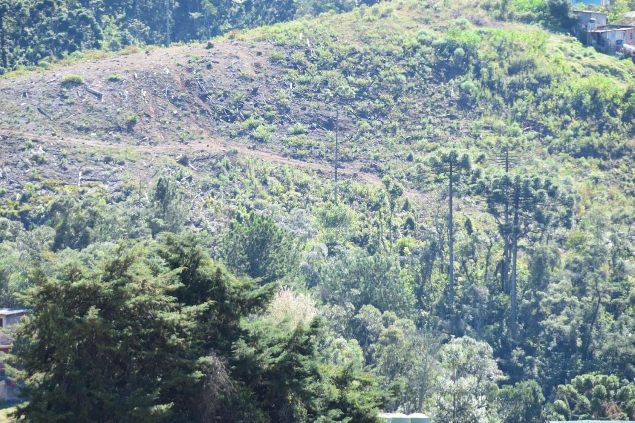 Pousada Campos do Jordão エクステリア 写真
